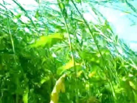 अंग्रेजी जंगल नियुक्ति सेक्सी भिडियो सेल्वा फिल्म