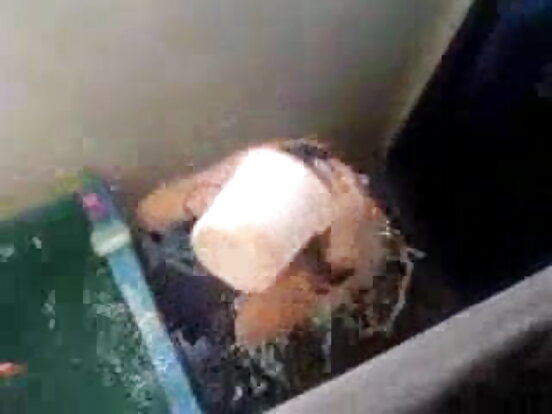 दुई दासीहरूले सेक्सी शोमा Voyeur Shower Voyeur Shower देखाउँछन्