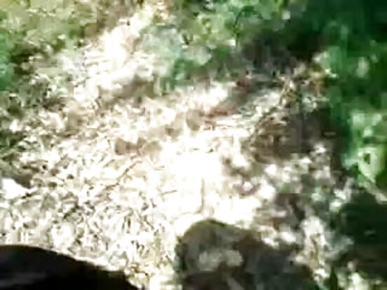 युवा स्तन भारतीय आन्टी दक्षिण देखि ठूलो स्तन, जवान केटी भोजपुरी सेक्सी bf bf bj आउटडोर